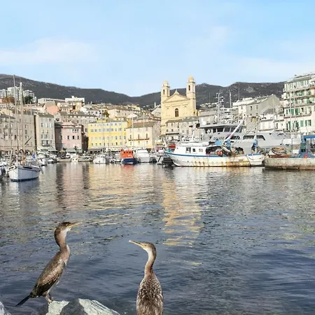 Apartment Spacieux A Bastia Avec Vue Et Montagne.