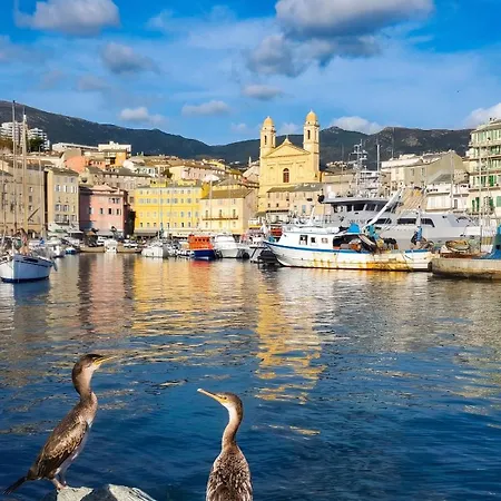 Spacieux à Avec Vue Et Montagne. * Bastia (Corsica)
